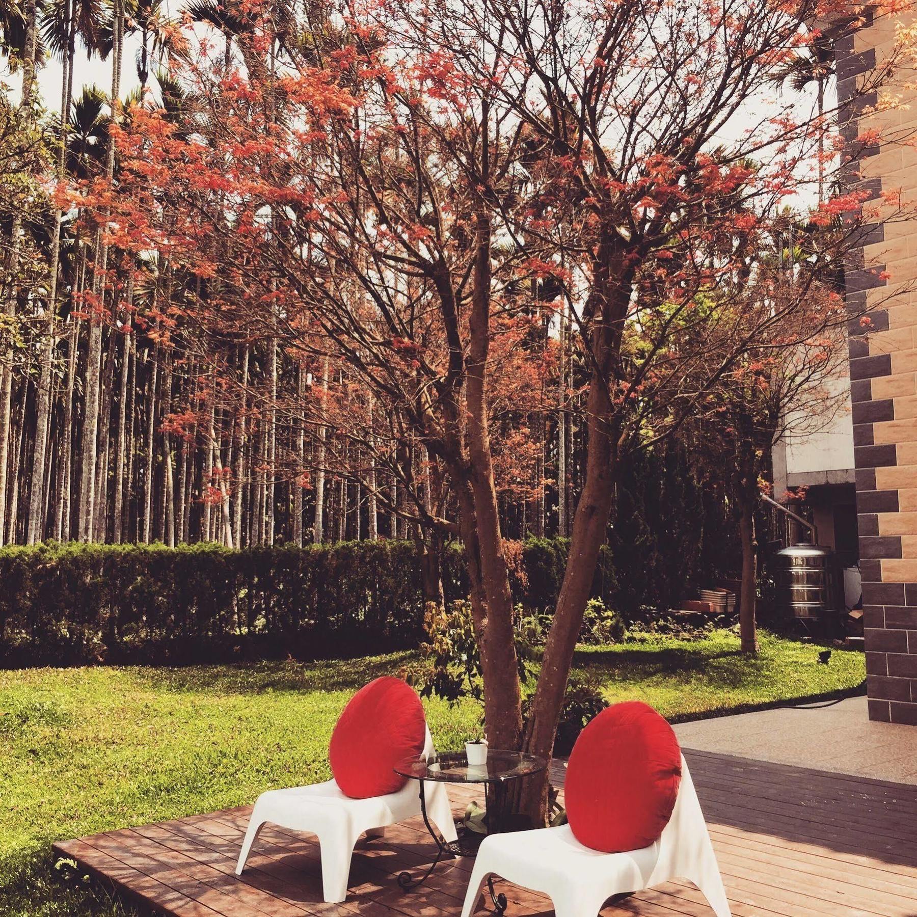 鱼池乡山久蒔x勺光住宿加早餐旅馆 外观 照片